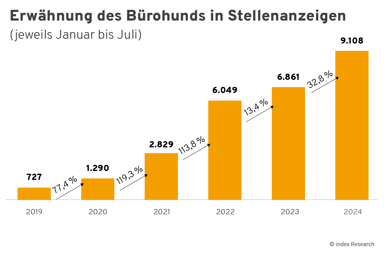 Erwähnung des Bürohunds in Stellenanzeigen im Zeitraum Januar bis Juli in den Jahren 2019, 2020, 2021, 2022, 2023 und 2024